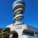 송산그린시티공인중개사사무소 | 공인중개사 시선으로 본 송산그린시티 개발 현황과 투자 가치