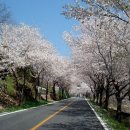(주)프라임월드 네이버블로그