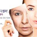 메디셀라이프