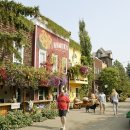 미로농장 이미지