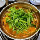 한마므로 | 파주 심학산 맛집｜심학산동태한마리본점 동태탕 솔직 후기
