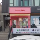 사파동198 이미지