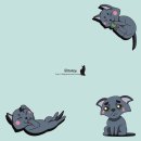 캐릭터그루밍 이미지