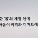 카페봄살구