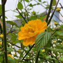 개금2동-3 이미지