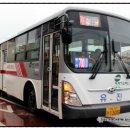 영암유진 이미지