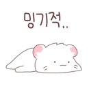 퍼플투어 이미지
