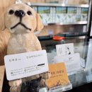 한라마테우리 이미지