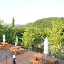 프랜치캣풀빌라펜션 이미지