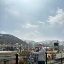 골든테라파트너스 | [공지] [광고] 에버랜드 사파리 오픈런 성공후기! 대기시간, 주차 꿀팁까지