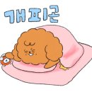 동네와플