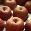 꽃돌농장 이미지