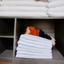 동도가족호텔 | 4세·7살 아이와 할머니까지, 겨울에 딱이었던 소백산풍기온천리조트 내돈내산 후기(호텔온돌방)