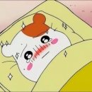 한양대 우리 태권도장 이미지