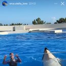 (주)현대미트