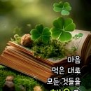행운 - 광진구 뚝섬로 513 | 행운