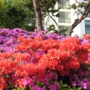 서천운동장 이미지