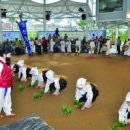 장산 장병준 생가 이미지