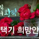 (재)여의도 연구소