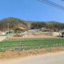 거산1리 마을회관 이미지