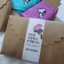 송월타올노블레스 이미지