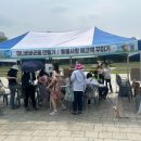 시민동물병원 | 2025 안양 반려동물 사랑나눔 축제 후기! 설채현쌤 실물영접부터 간식샘플까지 와르르~