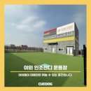 큐독