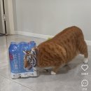 눈썹친구