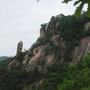 제천 동산(東山)정기산행및 청풍 벚꽃축제 이미지