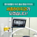 세종하이치과 이미지