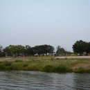 강변유원지길 이미지