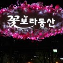 꽃보라동산 이미지