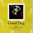 굿독(Good Dog) 이미지