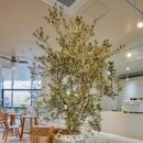 힐링플라워 이미지