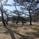 솔밭공원 이미지