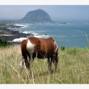 바다가있는풍경 이미지