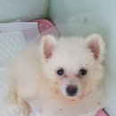 고방동물병원 이미지