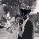손승우 카카오 검색결과