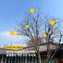 (주)퀸비 이미지
