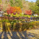 배론 관광편의시설 공중화장실 | 사색이 머무는 가을길, 배론성지의 평온한 풍경