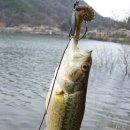 추부낚시