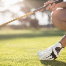 TM골프클럽 이미지