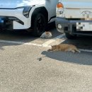 광산로제2공영주차장 네이버블로그
