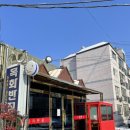 목화반점 이미지