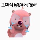 스타컴즈드림센타 | [경주] 키녹호텔&경주교원드림센터 숙박 1박 2일 꿀팁, 워크샵 후기