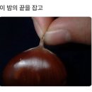 롱타임노씨 이미지