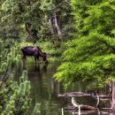 다정한오후 이미지