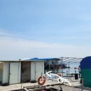 영목항김밥천국 이미지