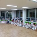 국가대표 타이거 태권스쿨 이미지