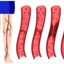 하이닥의원 이미지